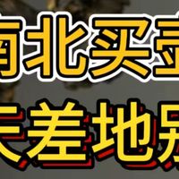 南方人买壶和北方人买壶，为什么完全不是一回事？