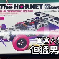 这配色太狠了！田宫斑点黄蜂特别款开箱