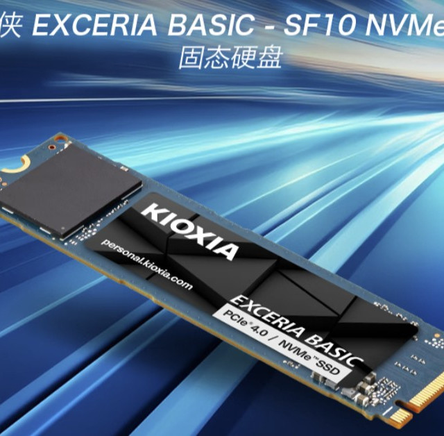 铠侠EXCERIA BASIC SF10 职场高效办公的低功耗优选