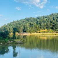 2026进口褪黑素口碑实测TOP5｜全球优选+国内适配，睡眠胶囊六代