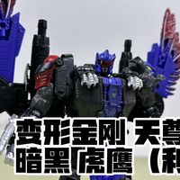现在比较合适了 变形金刚 天尊世代 暗黑虎鹰（玩模汇1634）