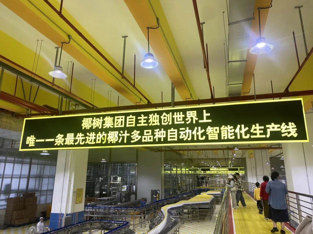 今年春节，“椰树”赢麻了！
