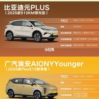 元PLUSvsAIONYYounger｜12万纯电闭眼冲✨