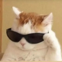 猫罐头哪个品牌好？口碑在线的希喂主食罐头喂养体验大揭秘！