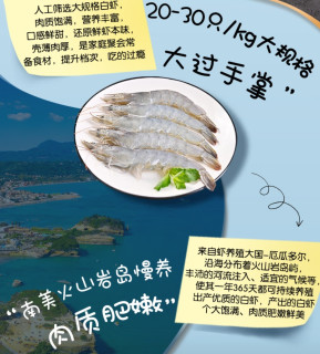 厄瓜多尔白虾：年夜饭硬菜