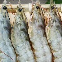 东上御品青岛大虾年货购后笔记｜年夜饭C位海鲜，鲜爽过大年
