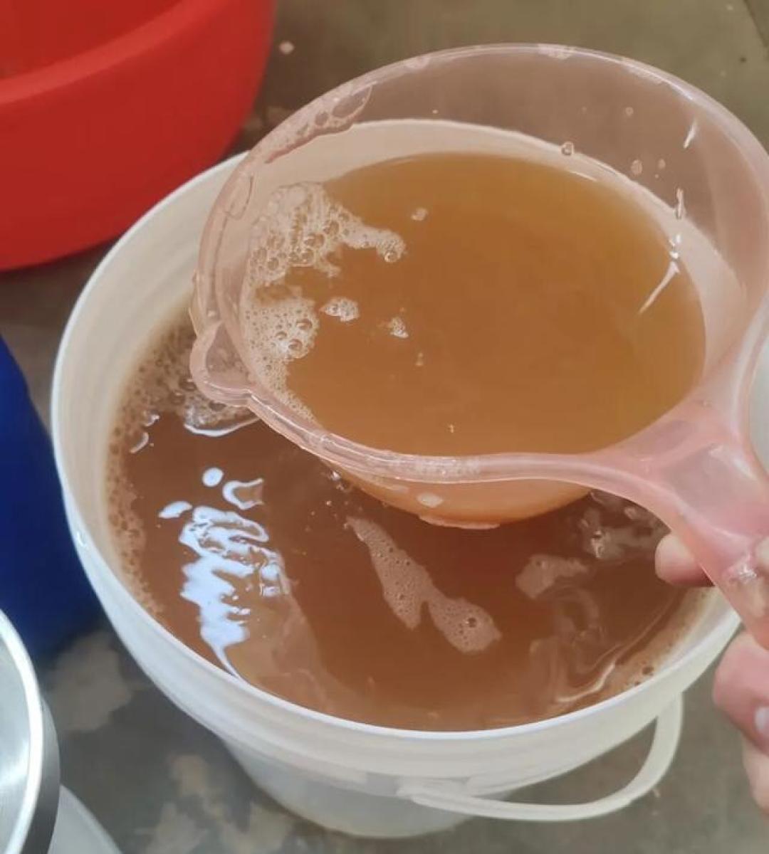别再单浇清水养花！5种自制肥水，盆土肥到流油花疯长