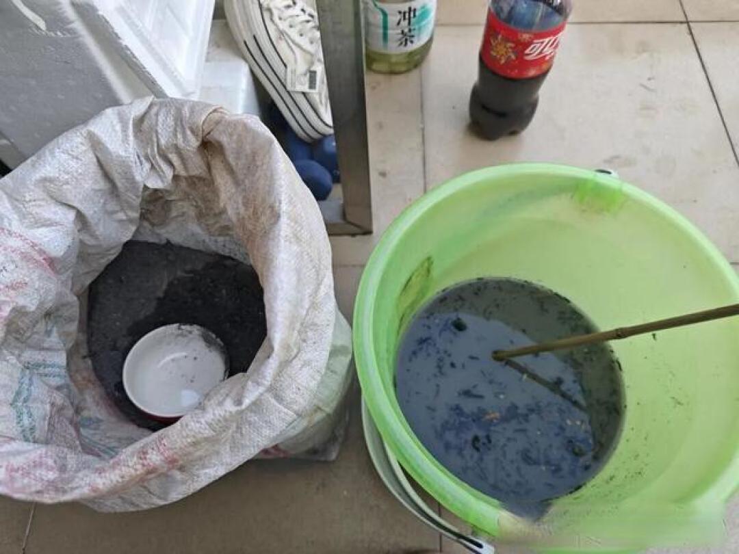 别再单浇清水养花！5种自制肥水，盆土肥到流油花疯长