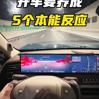 开车要养成5个本能反应#汽车博主 #汽车新人博主 #开车经验分享 #开车第一视角 #智己LS6