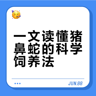 猪鼻蛇饲养全解｜体重阶段+习性一次看懂