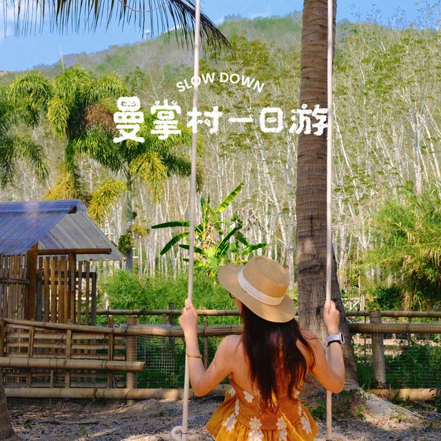 🌴 版纳唯一不踩雷的地方！高铁直达曼掌村
