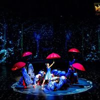 上海这场秀，让韩国小哥“手心冒汗”！看演出过大年成“新年俗”