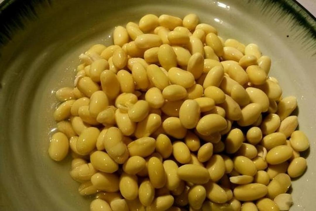 研究表明：吃黄豆可以溶解血液中的血脂？这是真的吗？别再猜了