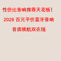 性价比音响推荐天花板！2026 百元平价蓝牙音响，音质续航双在线