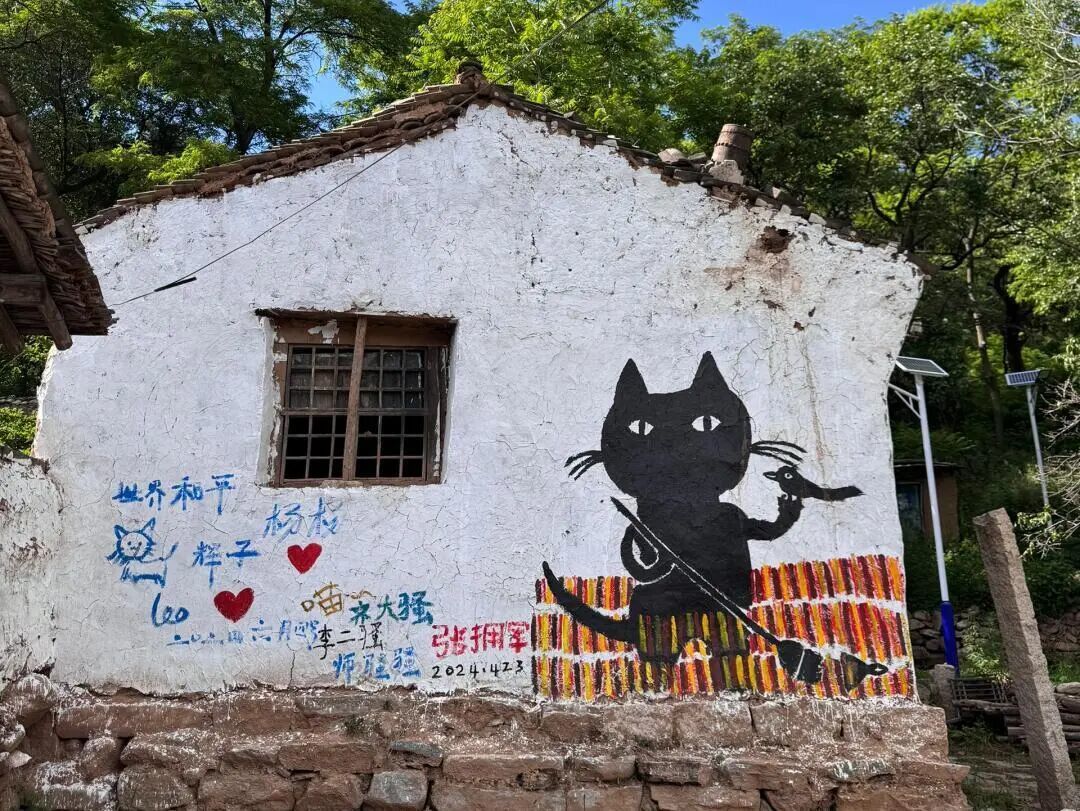 探秘猫村：一个被喵星人守护的乌托邦