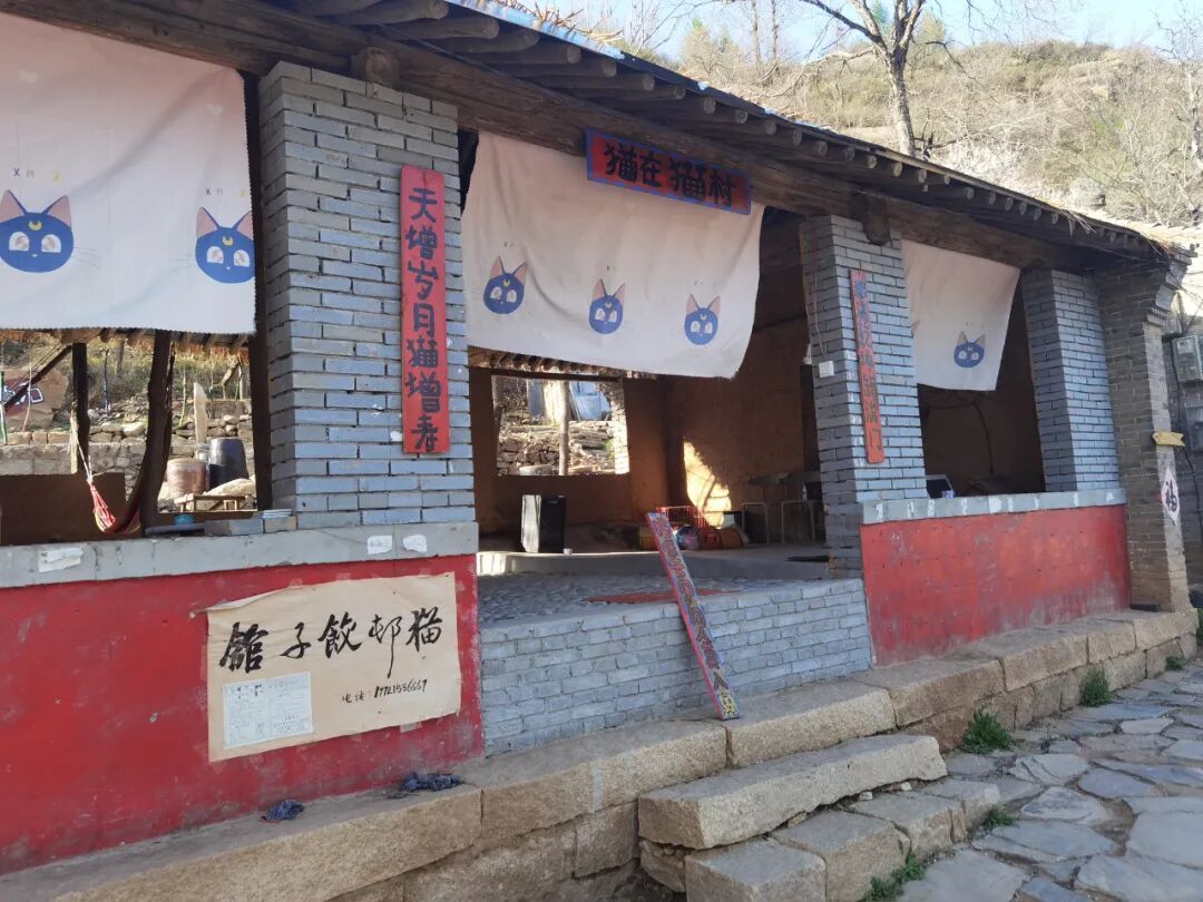 猫村“去有猫的地方，去心里想去的地方”