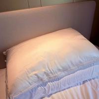 邵氏家纺全真丝桑蚕丝枕头｜低枕星人&颈椎党封神款✨