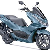 本田PCX160是踏板终点站还是入门选择？2万用户观点大PK