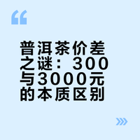 舌尖上的投资：300元与3000元普洱茶的真正差距