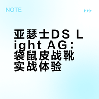 典型袋鼠皮的性价比之选——亚瑟士dslightag