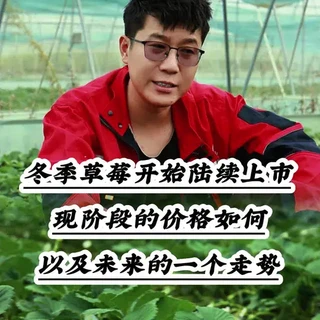 #草莓育苗基地 #草莓种植#草莓种苗
@抖音三农 
草莓价格稳步提升
