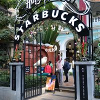 广州Walk｜全国首家哈利波特主题的星巴克