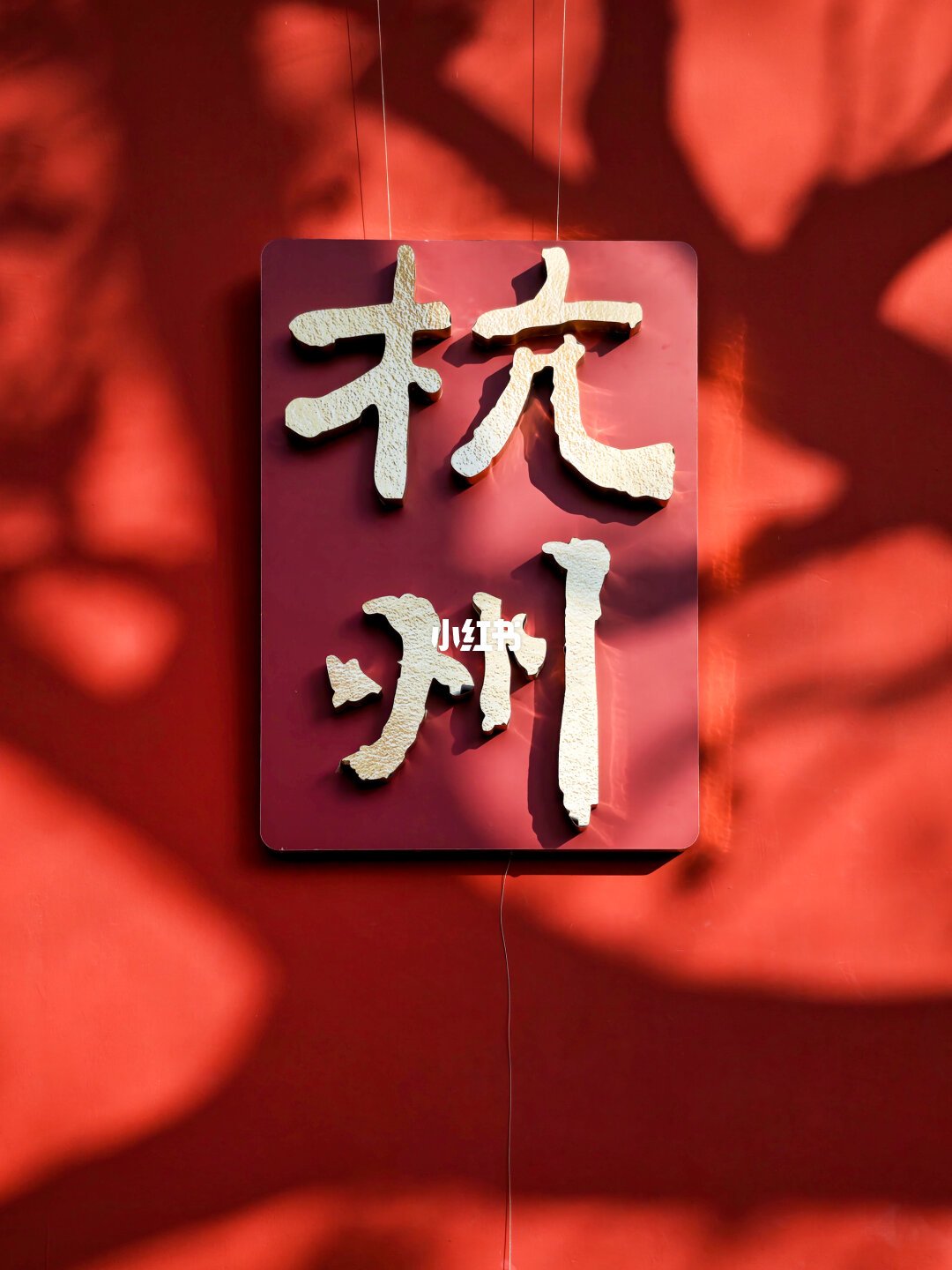 杭州马年免费展|当甲骨文遇见德寿宫宋韵