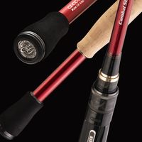 预算两千？鱼竿鱼轮这样买，性价比拉满！#路亚装备推荐官 #路亚 #钓鱼技巧 #推荐 #路亚新手入门教程