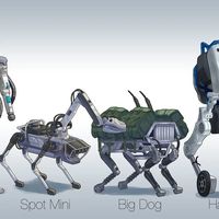 宇树优必选 vs 波士顿动力特斯拉？我们汇总了127位用户真实观点，答案在这