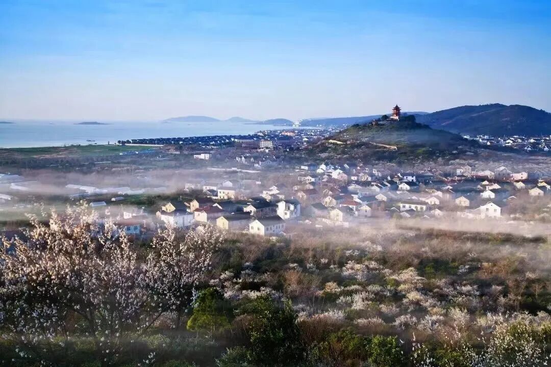 新增嘉定集合|3.1登岛看林屋梅海、地下探洞,拜天下第一财神,登高望缥缈太湖~