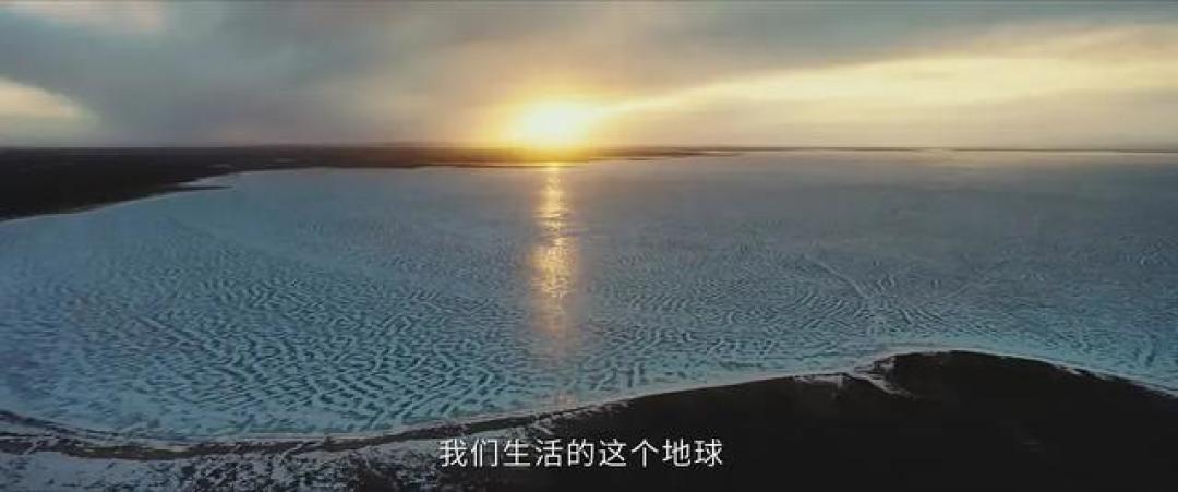 热度不破万,是《生命树》不够好吗?