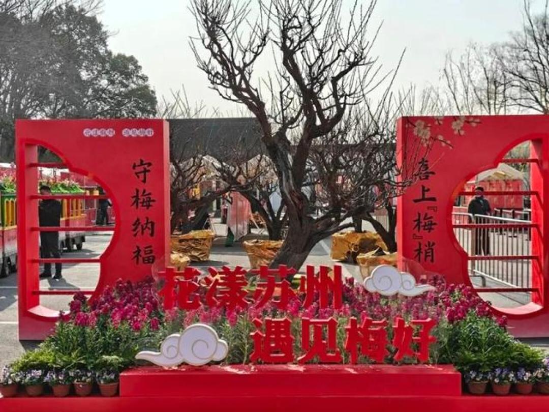 梅花市集来了,6条线路赏遍全城梅景!