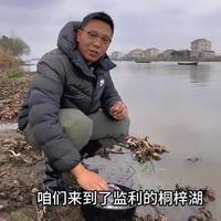 早春钓鲫鱼，如何选择钓位？大晴天钓浅滩，阴雨天钓深水，鱼情绝对不会差！#钓鱼王地狱猫 #中逵小师达二代 @中逵创始人 @中逵官方旗舰店