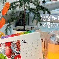 复工第一天：工位堆成“快乐窝”，轻食餐把“节后瘫”按下去