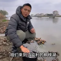 早春钓鲫鱼，如何选择钓位？大晴天钓浅滩，阴雨天钓深水，鱼情绝对不会差！#钓鱼王地狱猫 #中逵小师达二代 @中逵创始人 @中逵官方旗舰店