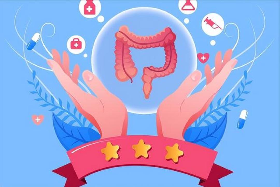营养中转站与排毒代谢站,7大核心养护法则,轻松养出健康肠道