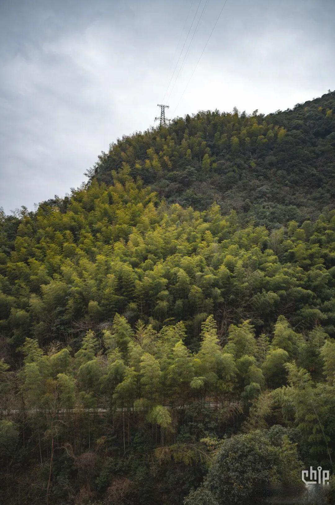 [旅游] 上海出发,自驾3小时路程反复登顶一片群山全记录~