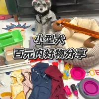 ❗️小型犬百元内好用物品分享(第二期)|0:18衣服|01:09胸背|02:09捡屎袋|02:48外出碗|03:22开结喷雾 |03:57护爪油|04:17玩具|04:42车载窝|05:15收纳盒#狗狗好物分享 #养宠人 #雪纳瑞