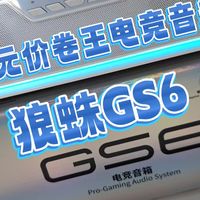百元价卷王电竞音箱——狼蛛GS6