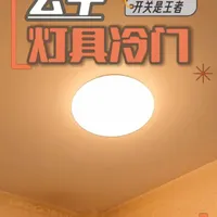 同为公牛，为啥开关是王者，灯具却很冷门 #吸顶灯