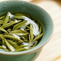 6种茶丶直接说清好处 + 坏处 + 适合谁喝，一看就懂！