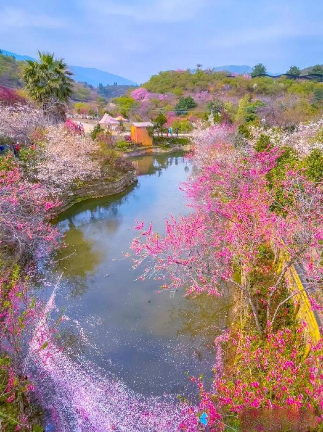 佛山,被春天偏爱的城市!这10个绝美赏花地,藏着岭南的诗情画意