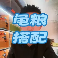 要想龟龟🐢长得好，营养均衡少不了#养龟 #宠物龟 #龟粮 #龟粮推荐 #龟宠时代