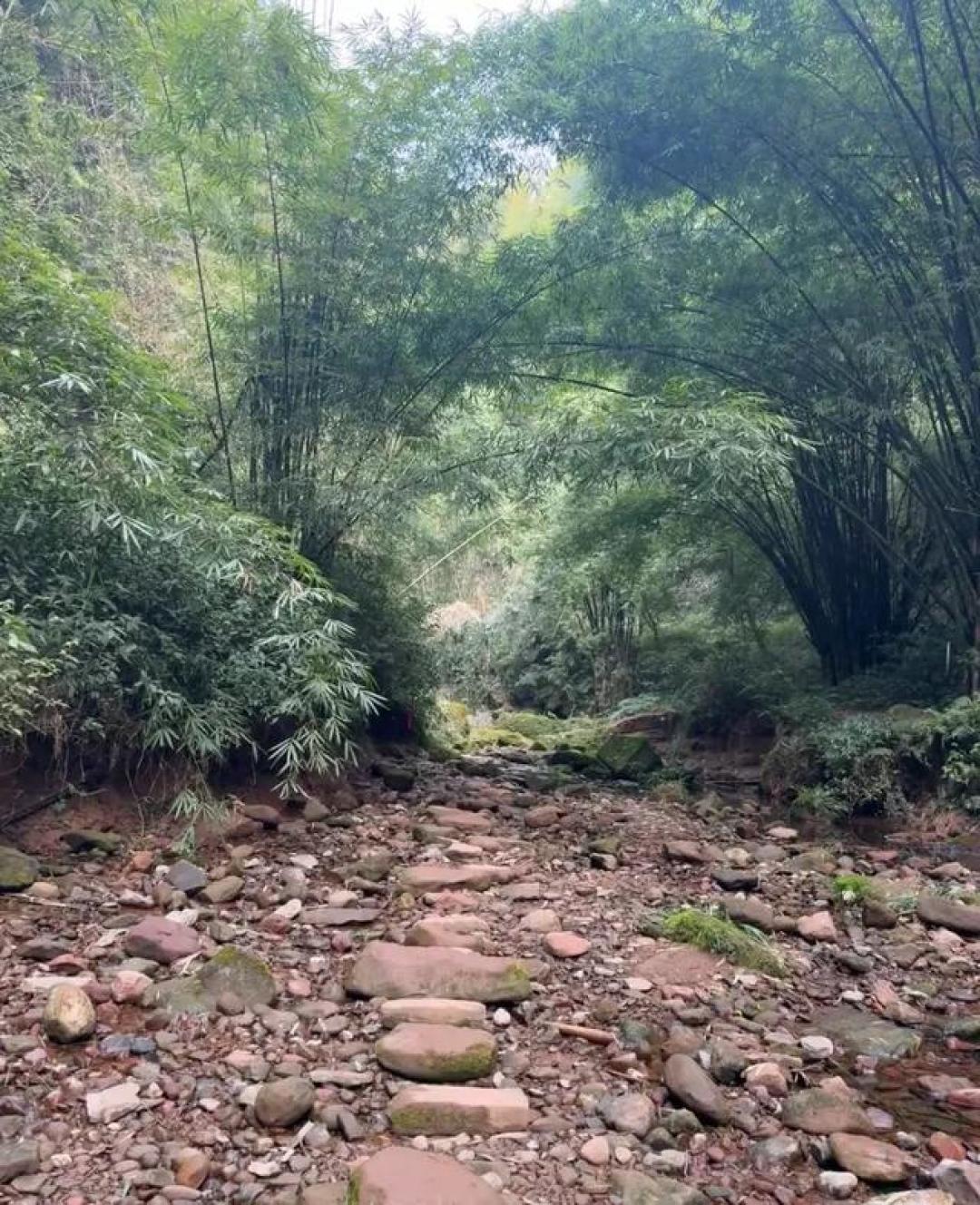 成都这个冬天徒步的地方是个不错的选择