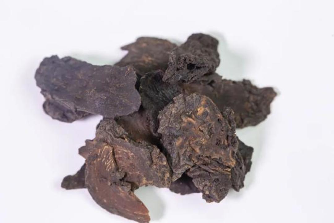 熟地黄+肉苁蓉+淫羊藿，补温兼施，固本培元