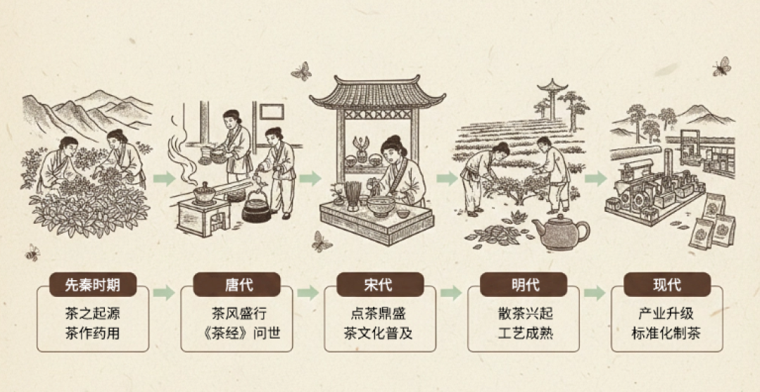 洗茶到底在洗什么?第一泡倒掉的是“脏东西”,还是茶叶最精华的物质?