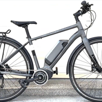 2025新国标落地，E-Bike定位之争：老年代步还是城市通勤？