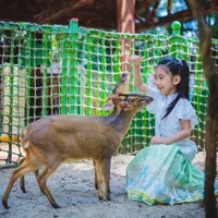 人均500元避开人潮！亲子游清净目的地筛选指南