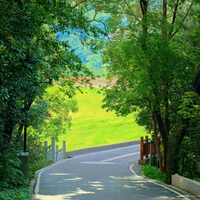 6岁+亲子徒步不踩雷：5条全国可及的低难度路线+保姆级行前清单