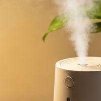 打工人回血神器｜职场续命小物，效率直接开挂